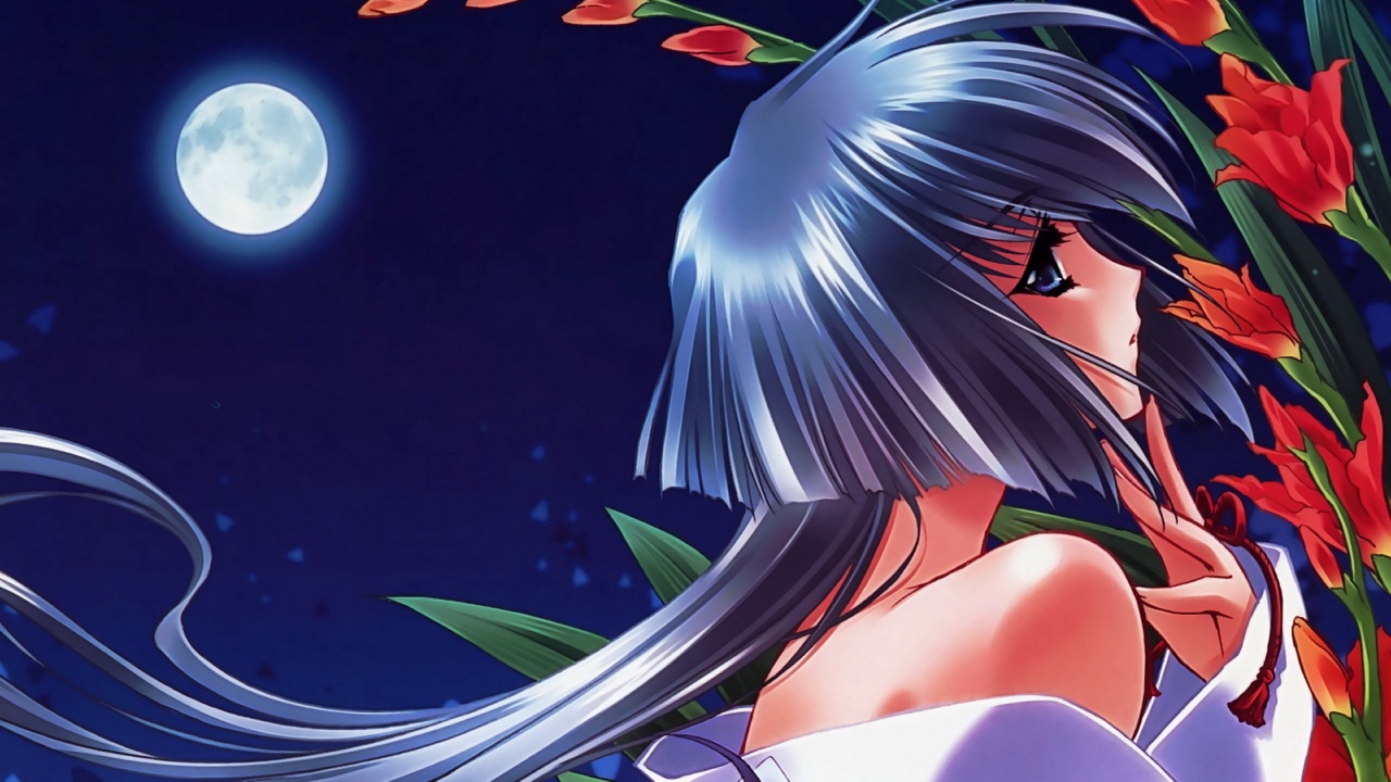 Wallpaper Girl, Pin-up, Moon, Flowers, Night - Touka Gettan - HD Wallpaper 