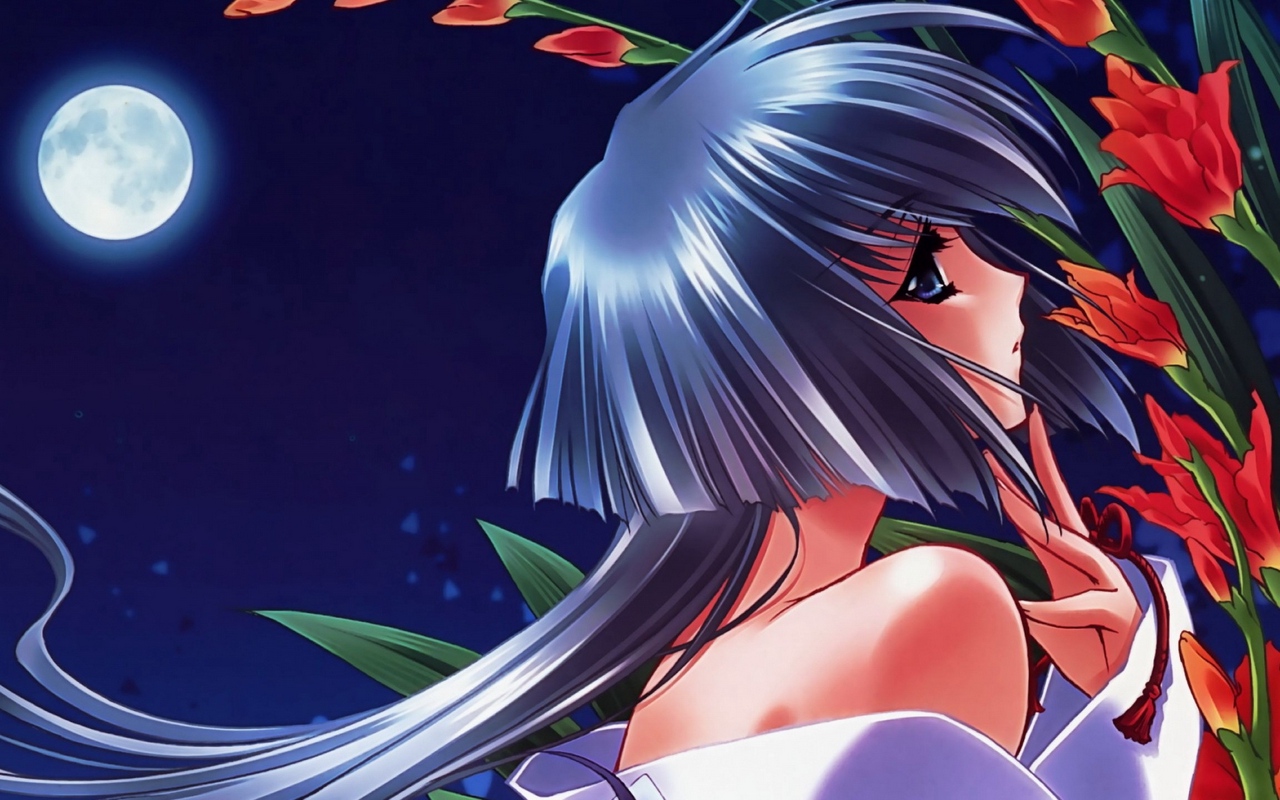 Wallpaper Girl, Pin-up, Moon, Flowers, Night - Touka Gettan - HD Wallpaper 