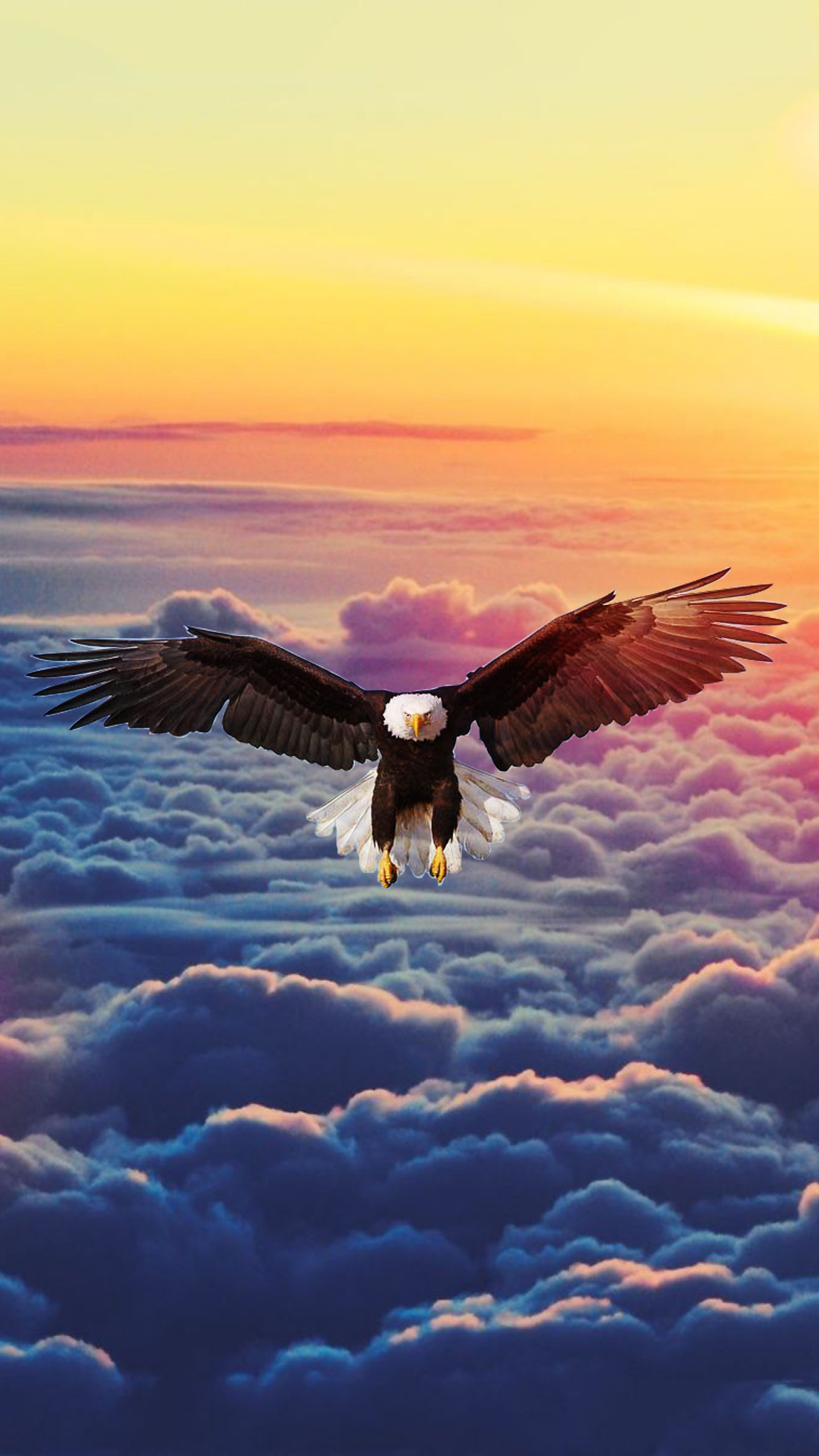 My Dreams Have No Limits - HD Wallpaper 