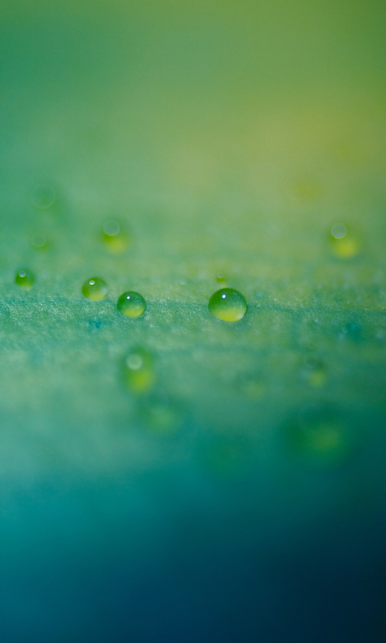 Best Wallpaper For Blackberry Passport - Blackberry Default - 768x1280 Wallpaper Best Wallpaper For Blackberry Passport - Blackberry Default - 768x1280 Wallpaper