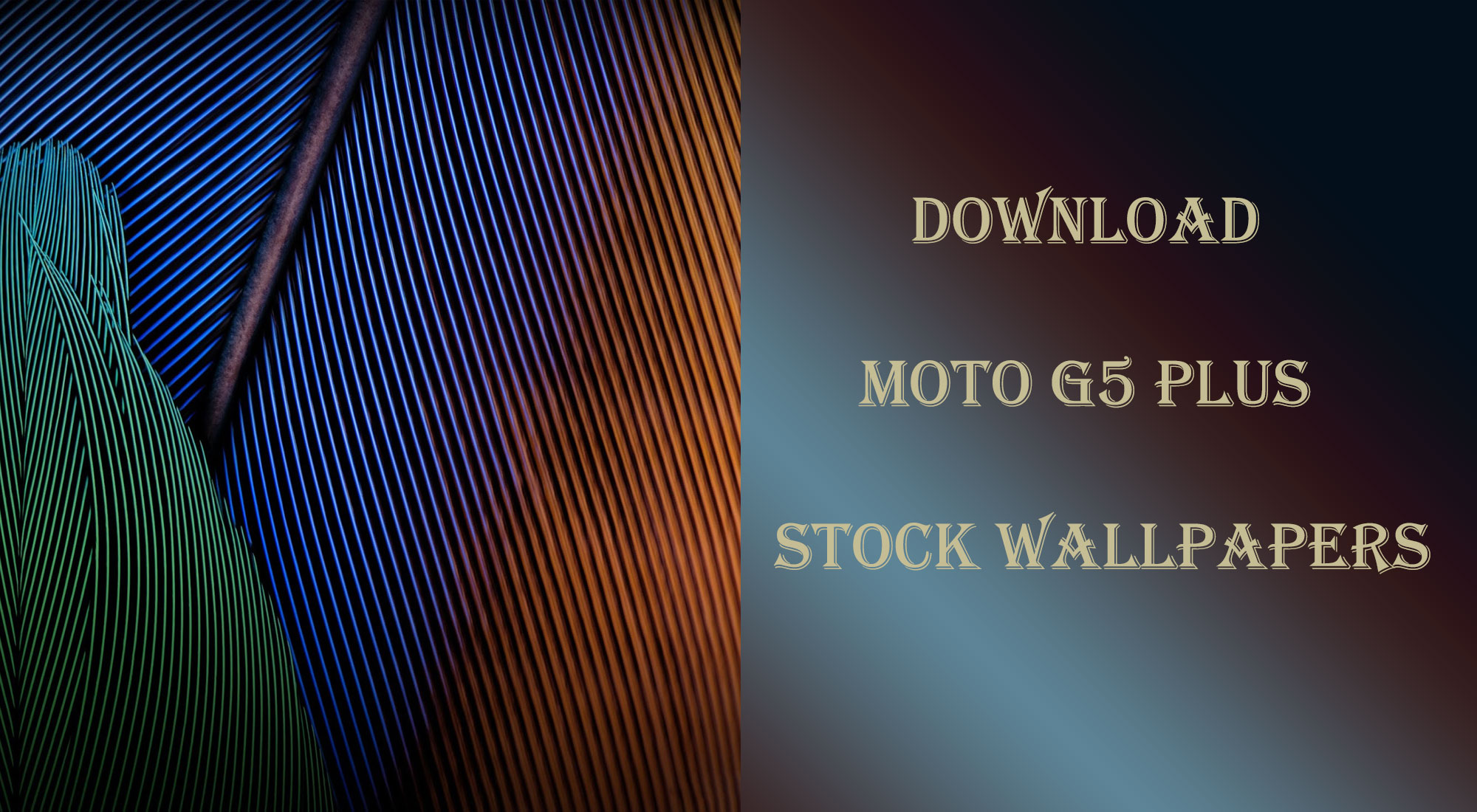 Moto G5 Plus Hd - 2000x1100 Wallpaper Moto G5 Plus Hd - 2000x1100 Wallpaper