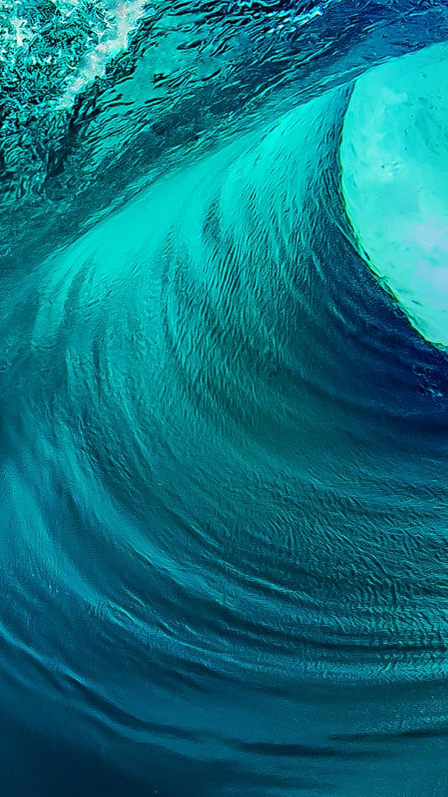 Vivo - HD Wallpaper 