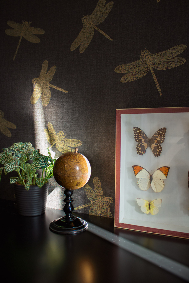 Обои As Creation Four Seasons - HD Wallpaper 