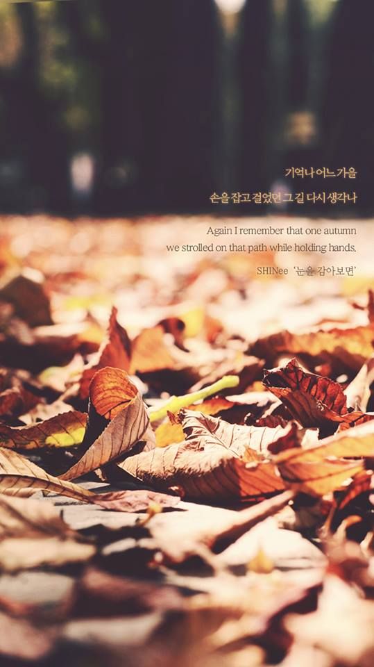 Shinee Lyrics - HD Wallpaper 