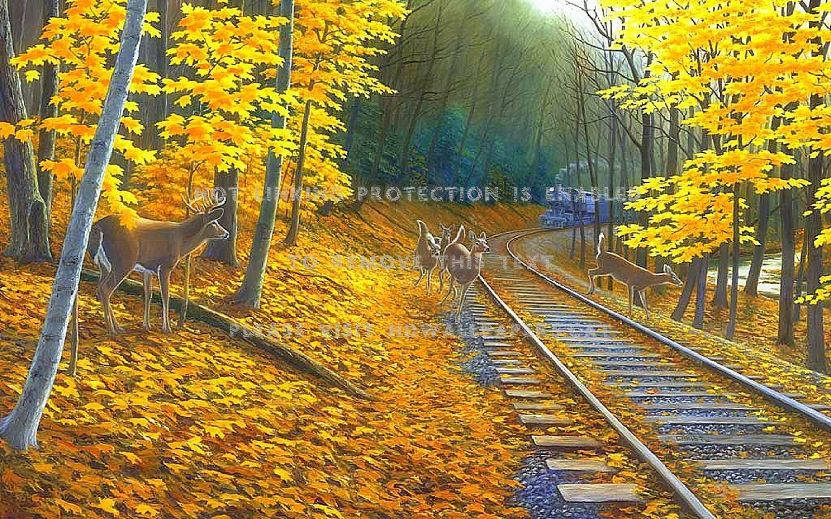 Fall Deer Tracks Love Four Seasons Creative - HD Wallpaper 