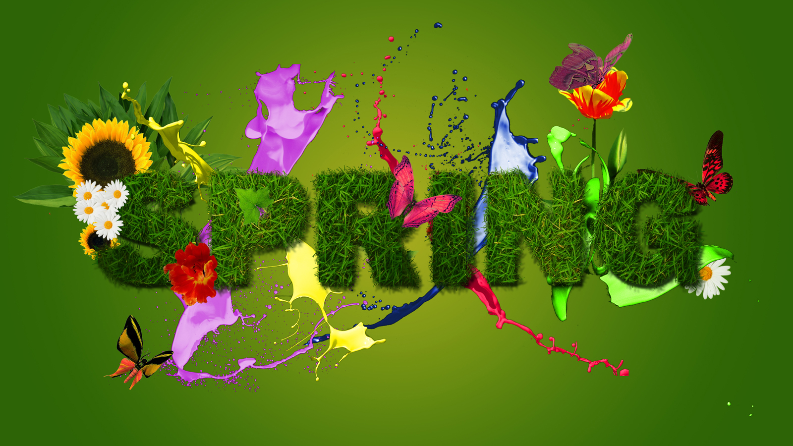 Spring Wallpaper Background - HD Wallpaper 