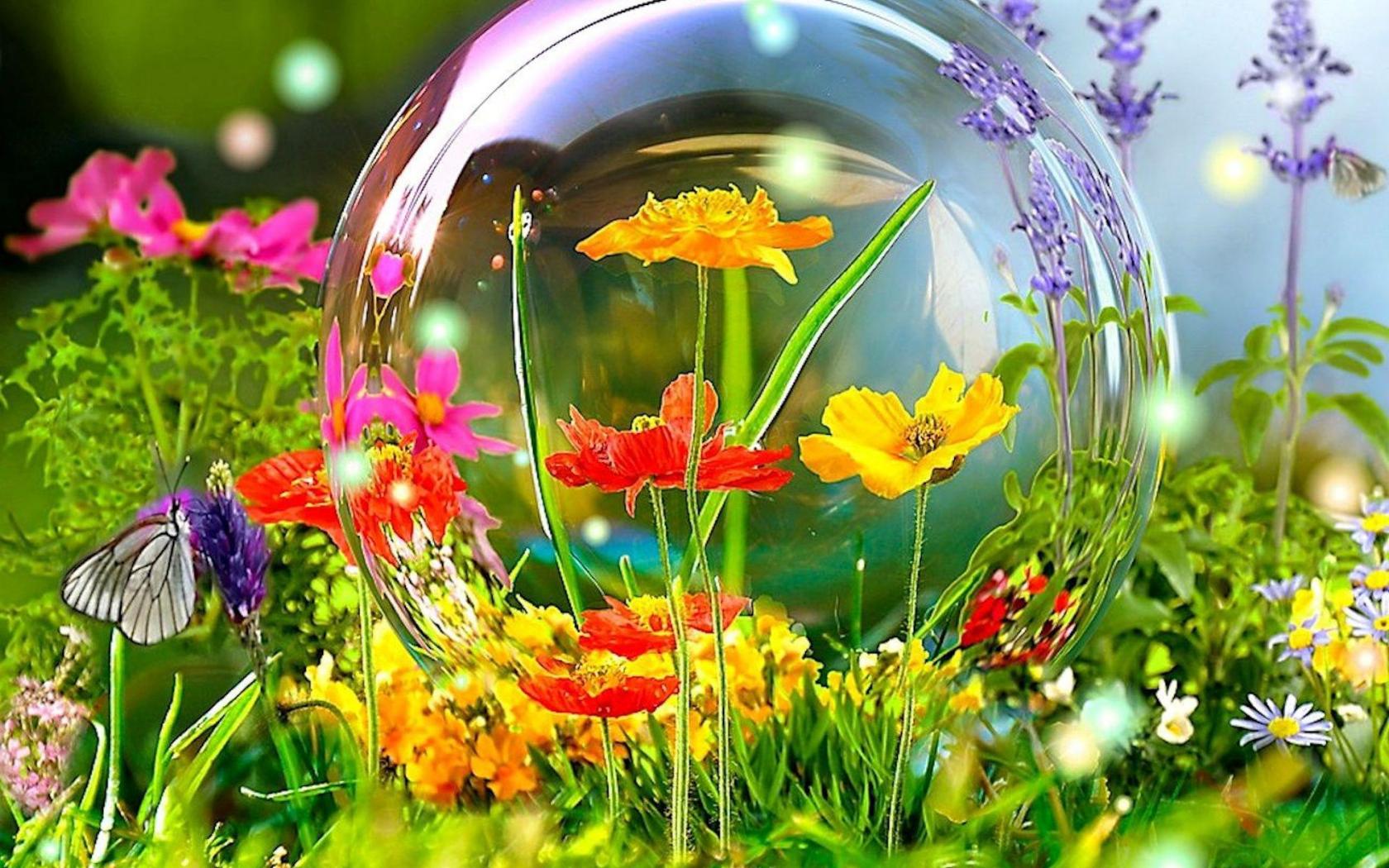 Spring Widescreen Wallpapers Group - Hd Wallpaper Widescreen Spring - HD Wallpaper 