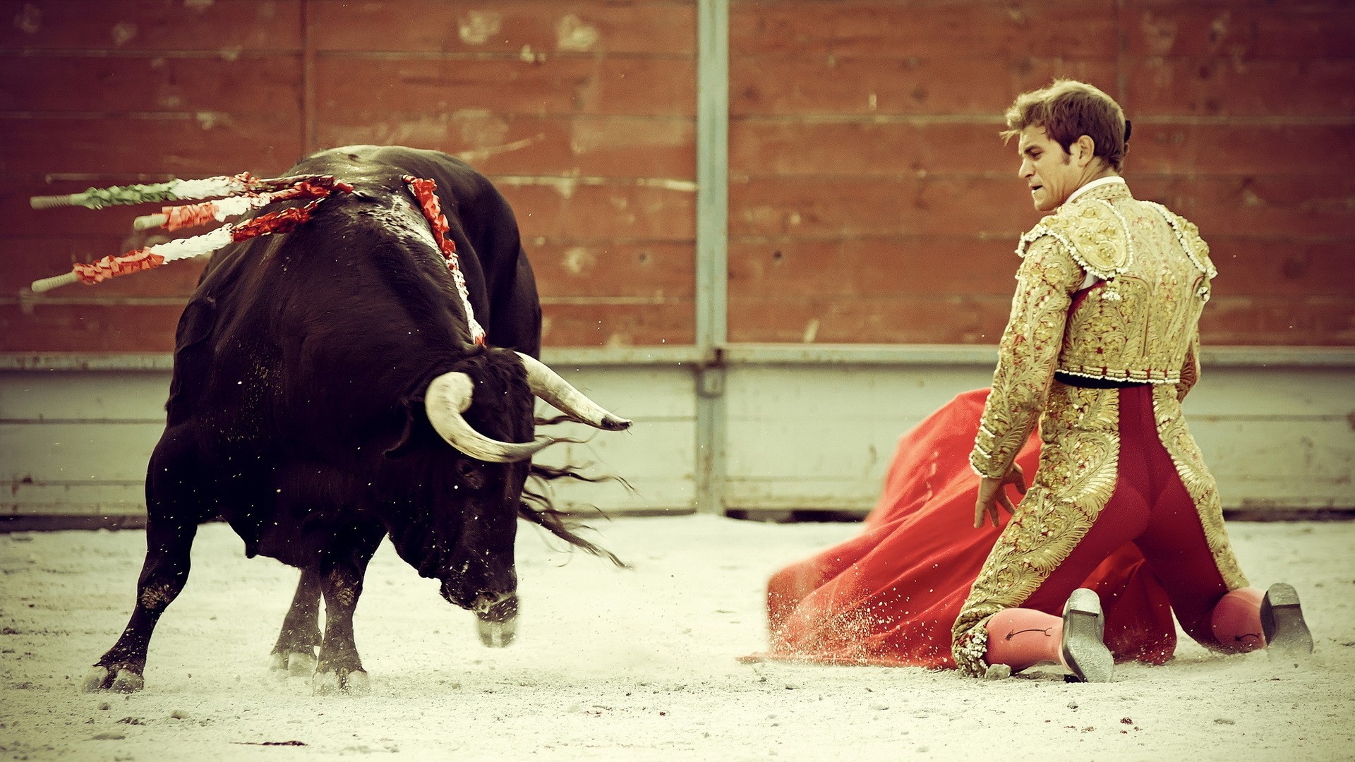 Bull Toreador - HD Wallpaper 
