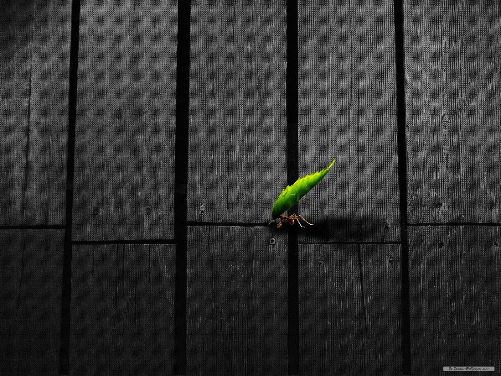 Free Art Wallpaper - Desktop Wallpaper 3d - HD Wallpaper 