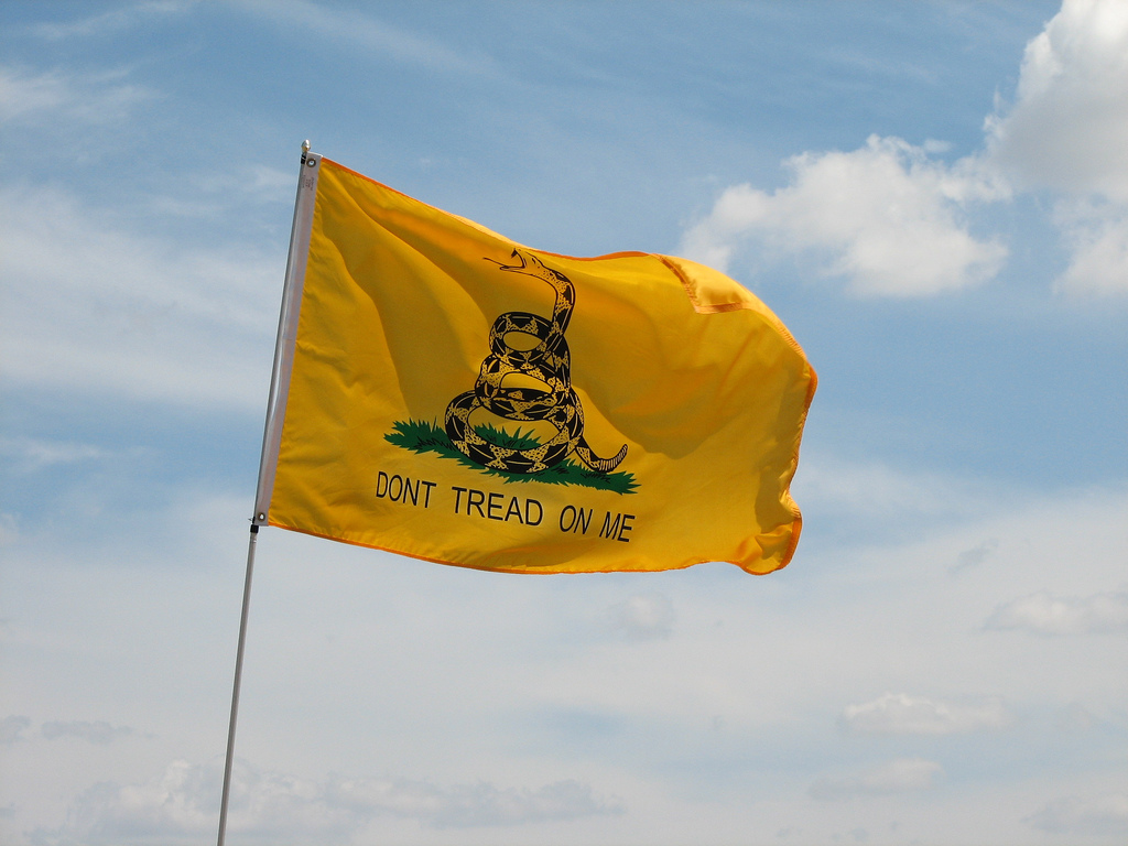 Dont Tread On Me Flag - 1024x768 Wallpaper - teahub.io