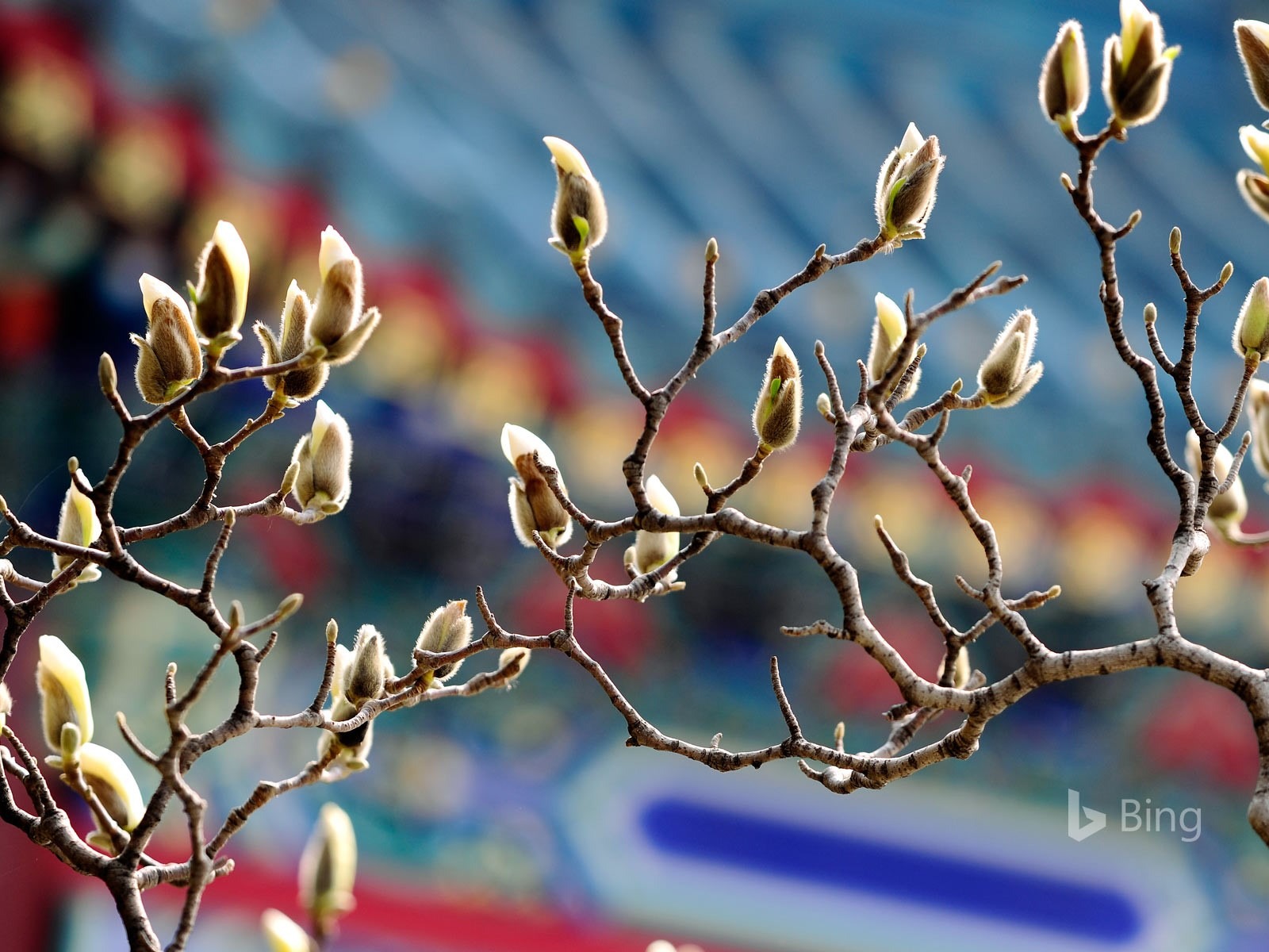 March Equinox - HD Wallpaper 