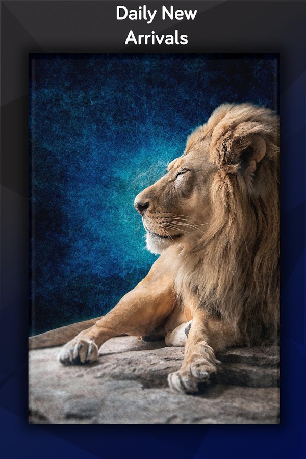 Hd Wallpapers - More Silent I Am The More Dangerous - HD Wallpaper 