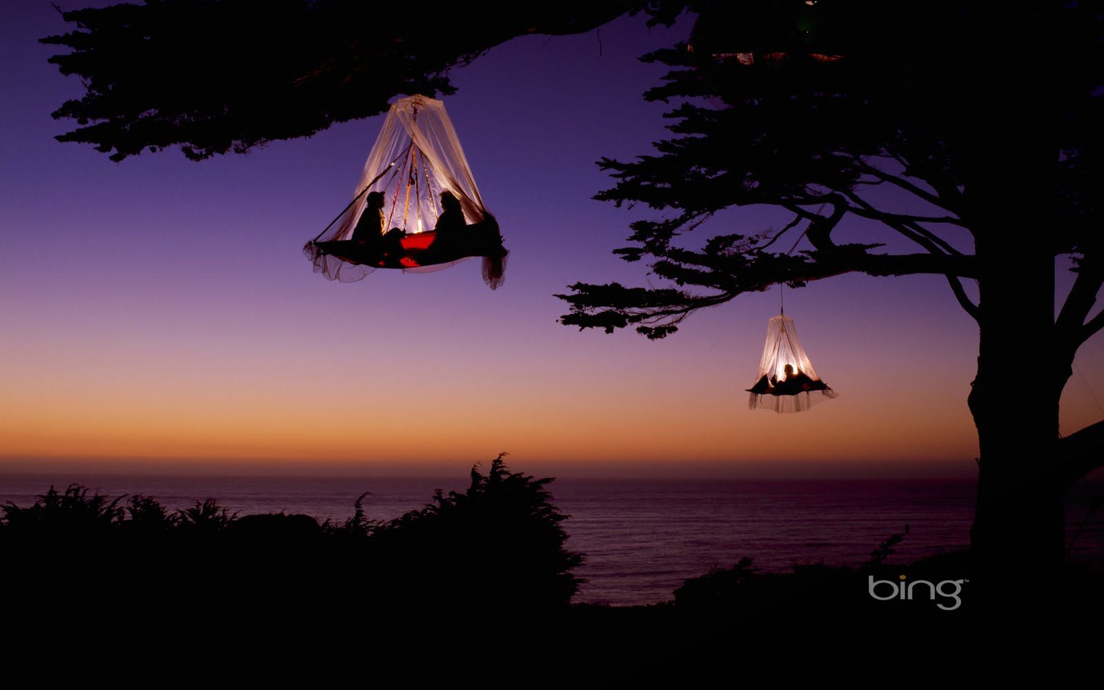 Tree Camping Elk California - HD Wallpaper 