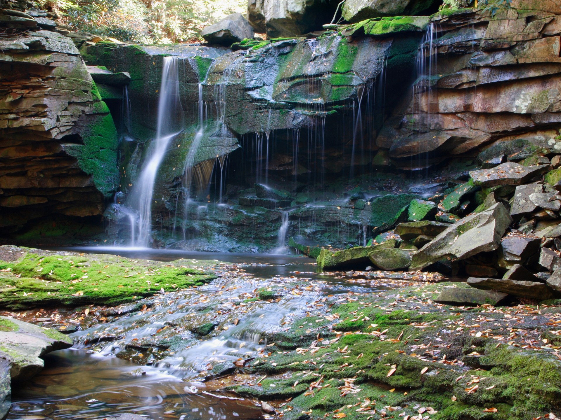 Blackwater Falls State Park - HD Wallpaper 