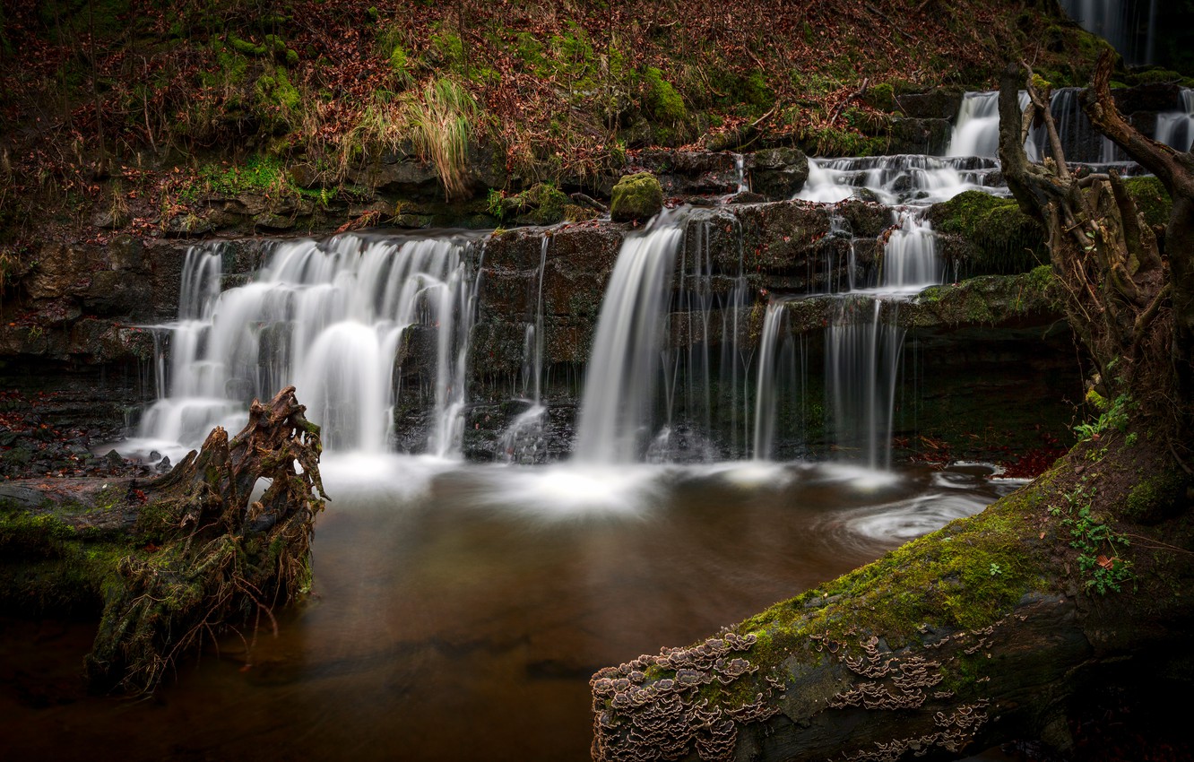 Photo Wallpaper Forest, Branches, Stones, Rocks, Vegetation, - Waterfall - HD Wallpaper 