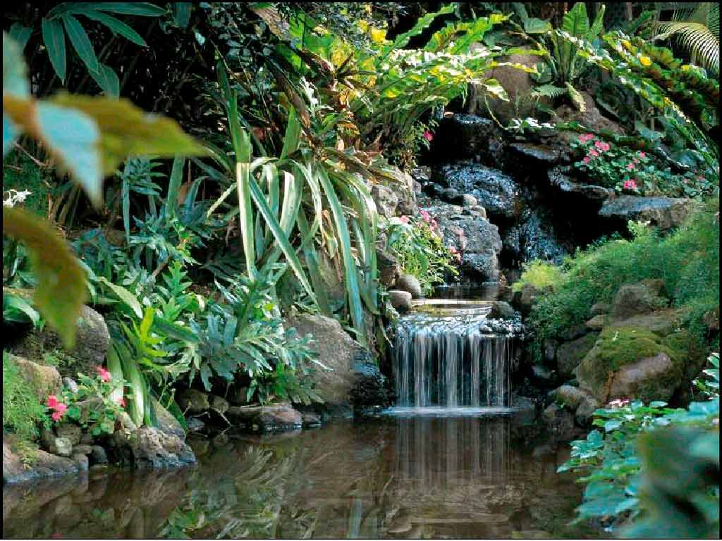 Waterfalls - HD Wallpaper 