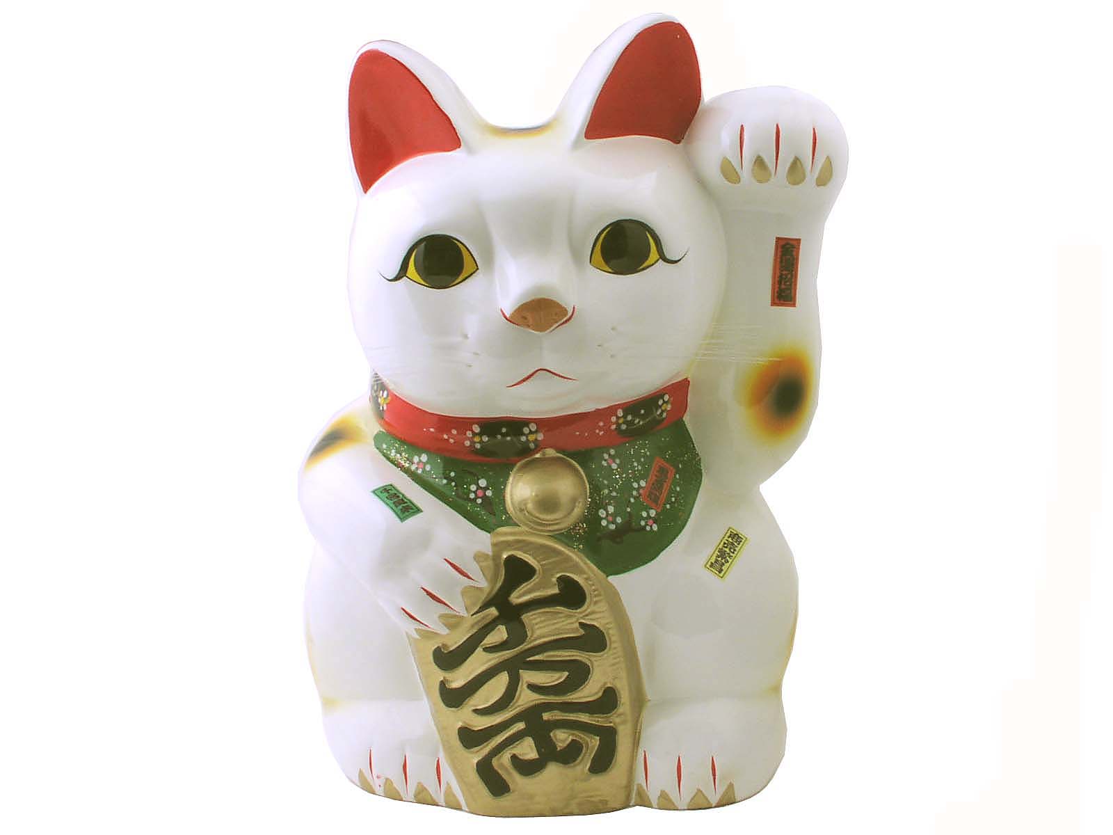 Domestic Short-haired Cat - HD Wallpaper 