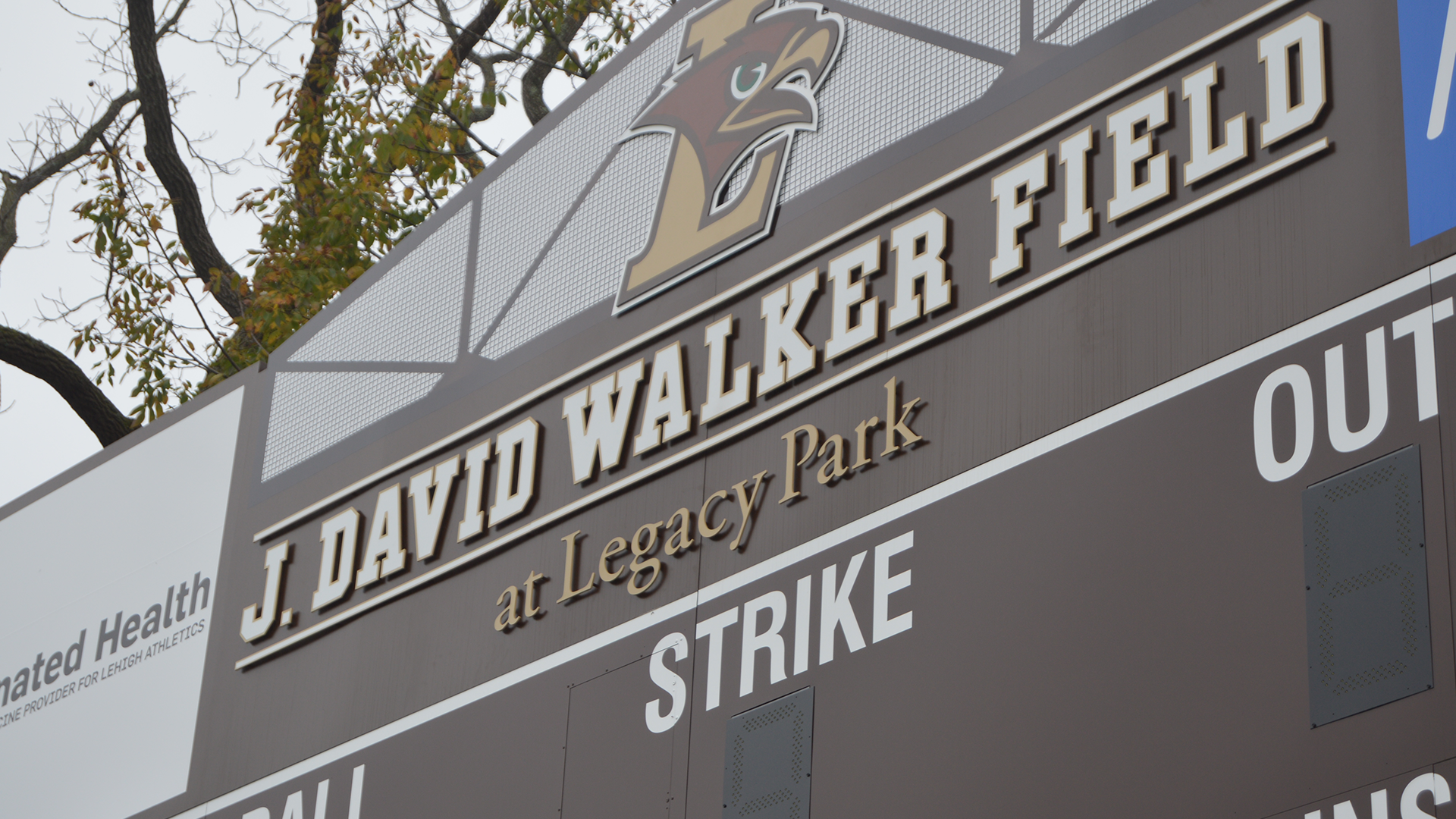 Walker Field - Tree - HD Wallpaper 