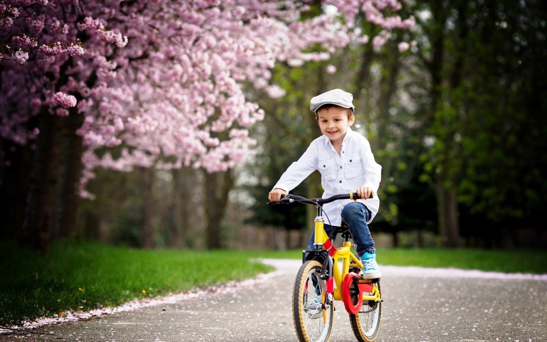 Happy Boy Wallpaper - HD Wallpaper 