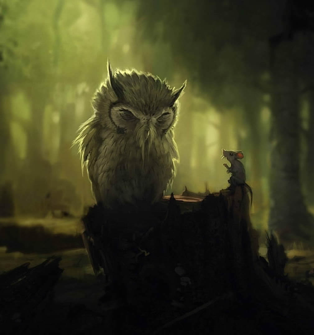 The Wise Owl - Once Uoon A Forest Owl - HD Wallpaper 