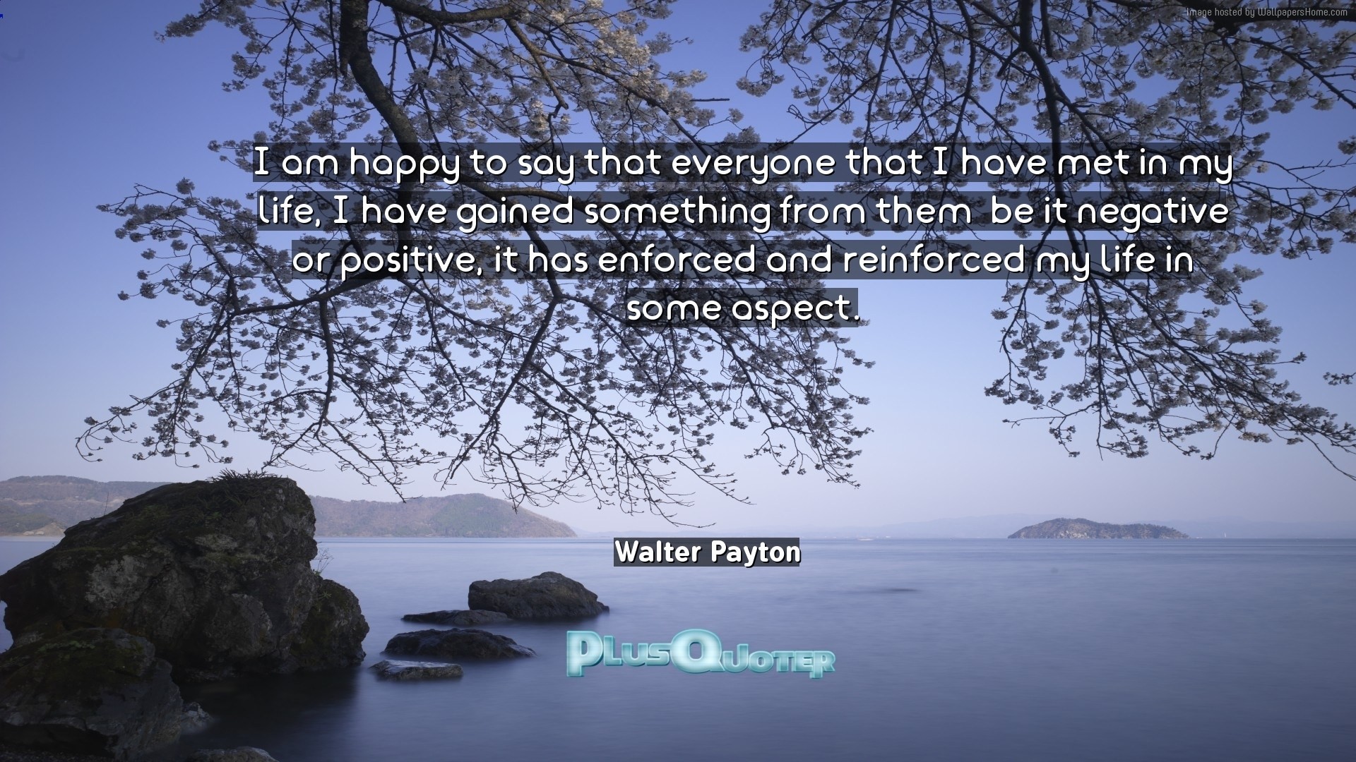 Walter Payton Quote Work Hard Or Don T Work At All - Wallpaper - HD Wallpaper 
