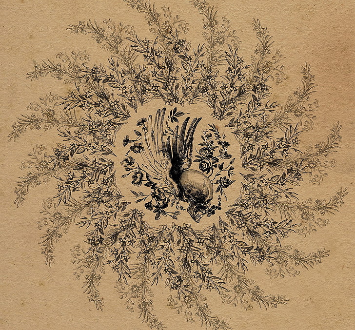 Abstract 3d Art, Art 3d Digital Abstract Hd, Art Abstract - Floral Design - HD Wallpaper 