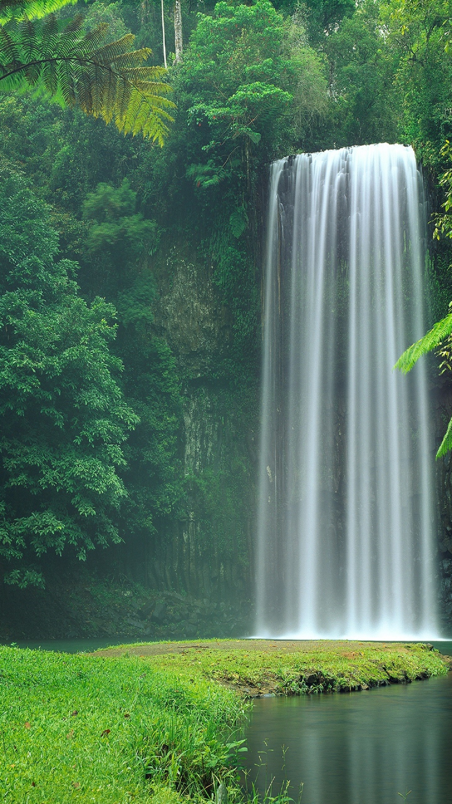 Background Hd Wallpaper - HD Wallpaper 