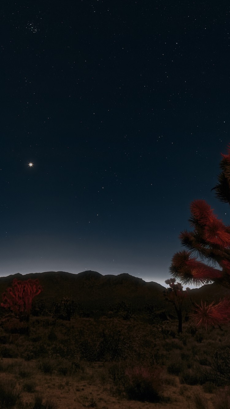 Night, Mojave Desert, Stars - HD Wallpaper 