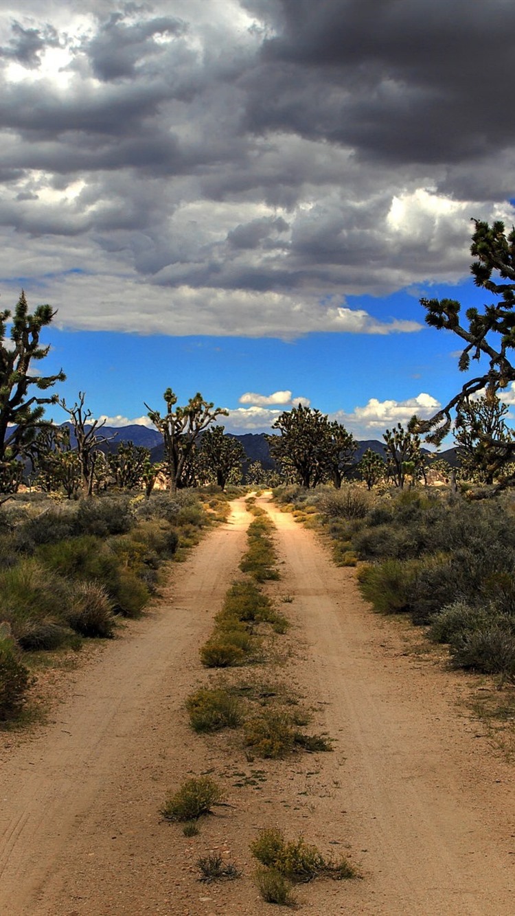 Iphone Wallpaper Usa, Mojave, Joshua Tree National - Mojave Desert Wallpaper Iphone - HD Wallpaper 