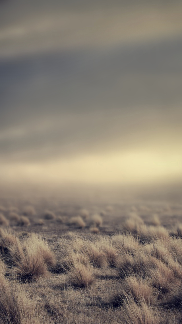 Names Which Mean Wise - HD Wallpaper 