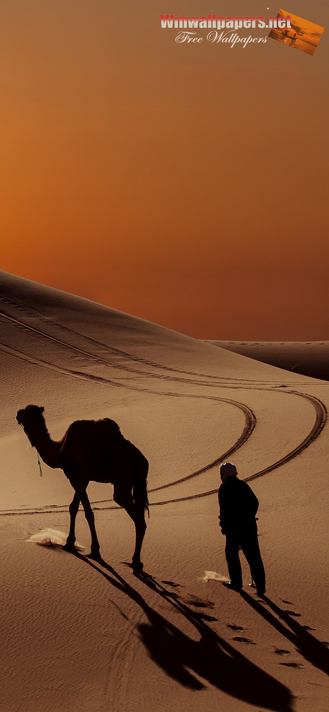 Sun People Desert Camel For Iphone Xs - Desert - HD Wallpaper 