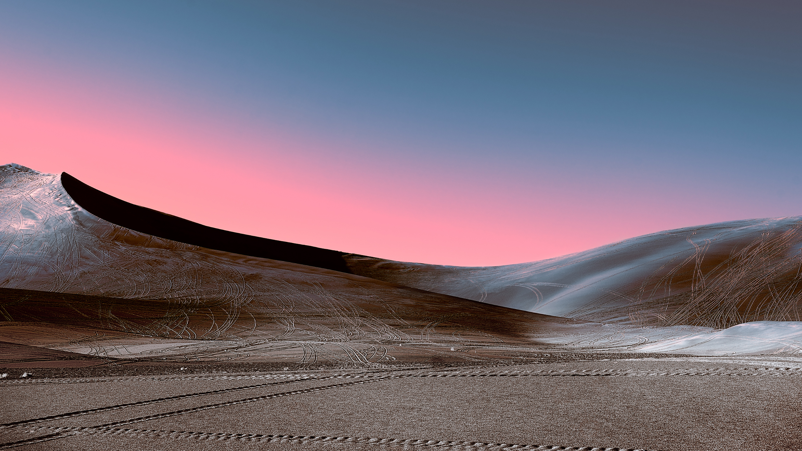 Neon Desert Wallpapers Neon Desert 2560x1440 Wallpaper Teahub Io Neon Desert Wallpapers Neon Desert 2560x1440 Wallpaper Teahub Io