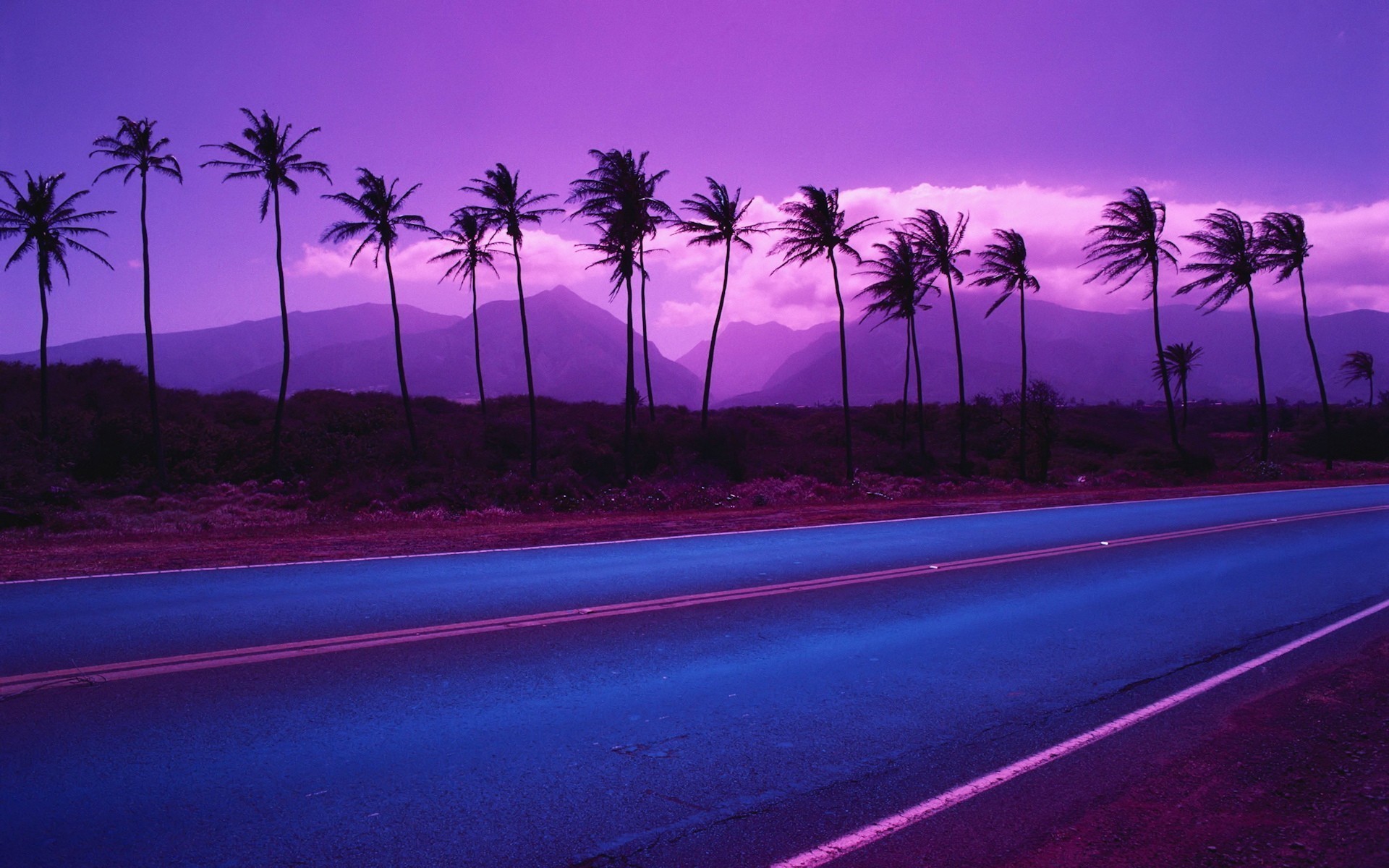 Palm Tree Background Wallpaper Data Src Top Palm - Purple Palm Trees -  1920x1200 Wallpaper 