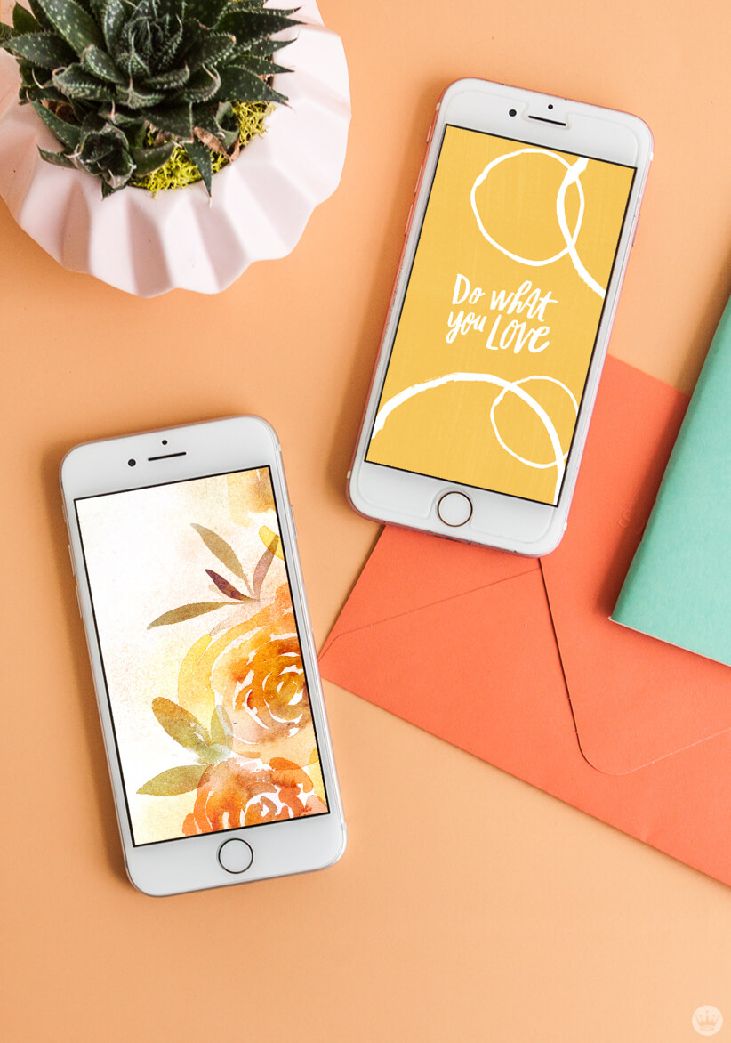 Wallpaper - HD Wallpaper 