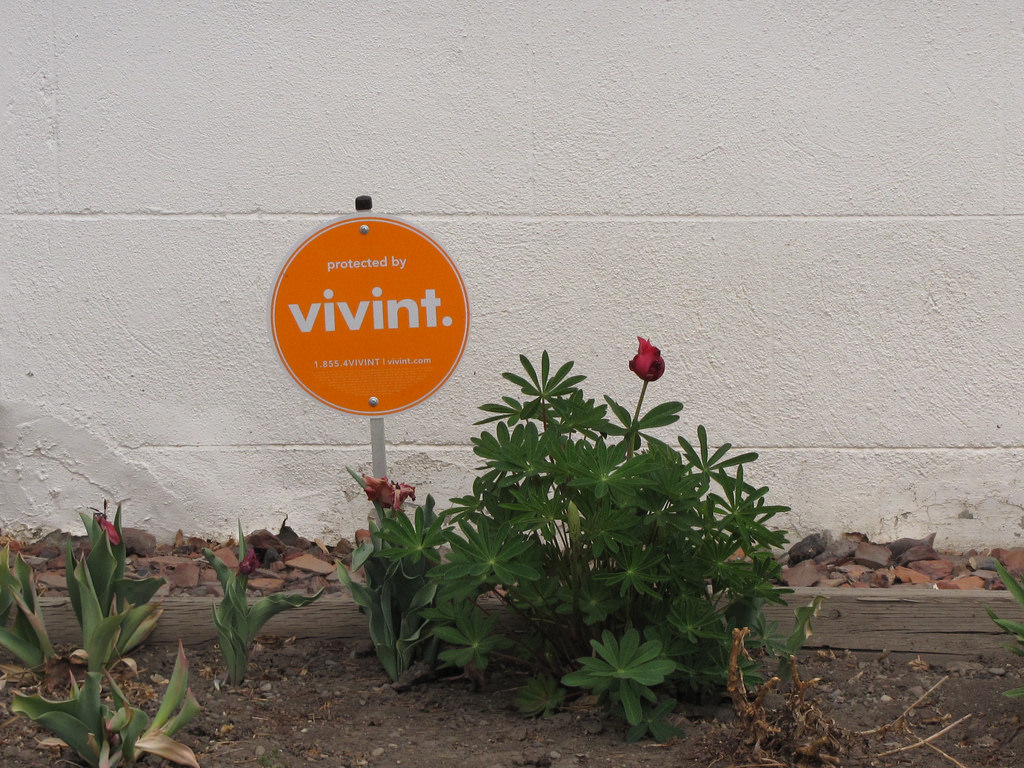 Vivint - HD Wallpaper 
