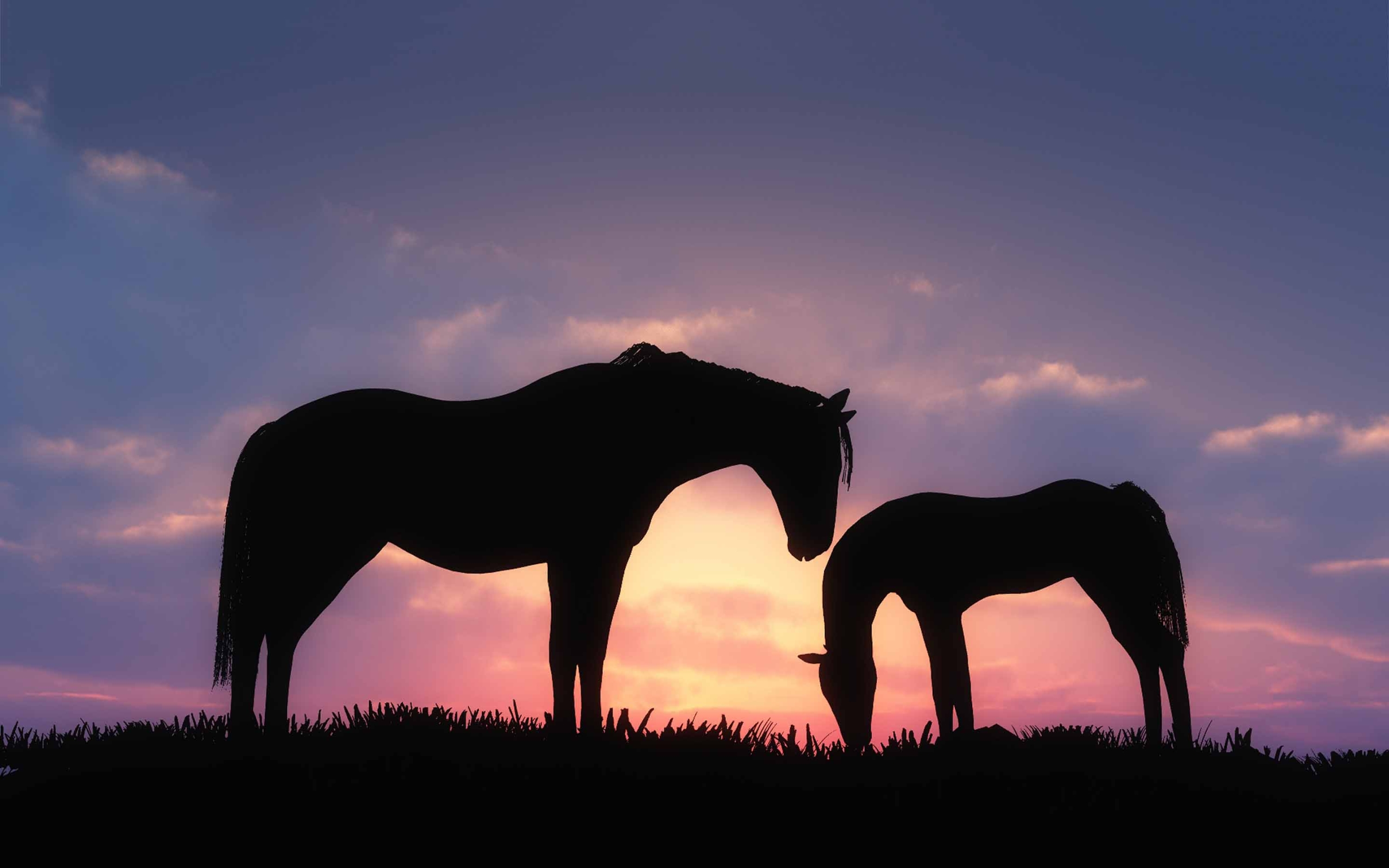 Horse Sunset Silhouette - HD Wallpaper 