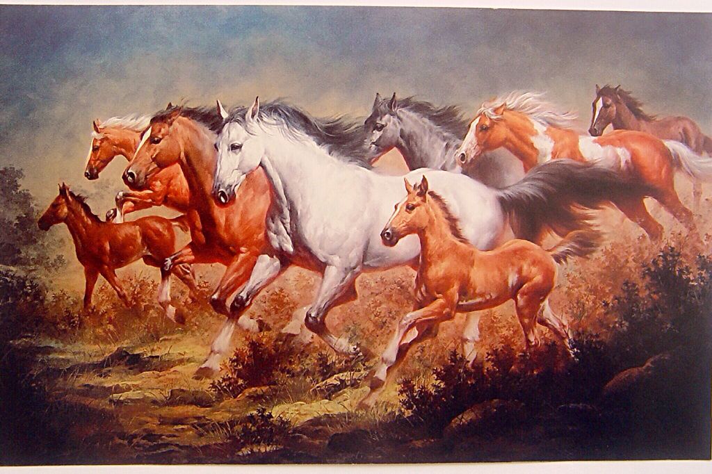 Stallion - HD Wallpaper 