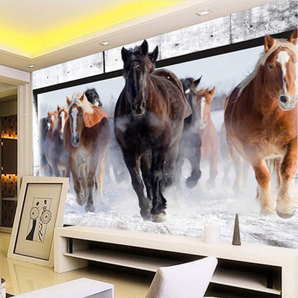 5 Different Pics Of Horse - HD Wallpaper 