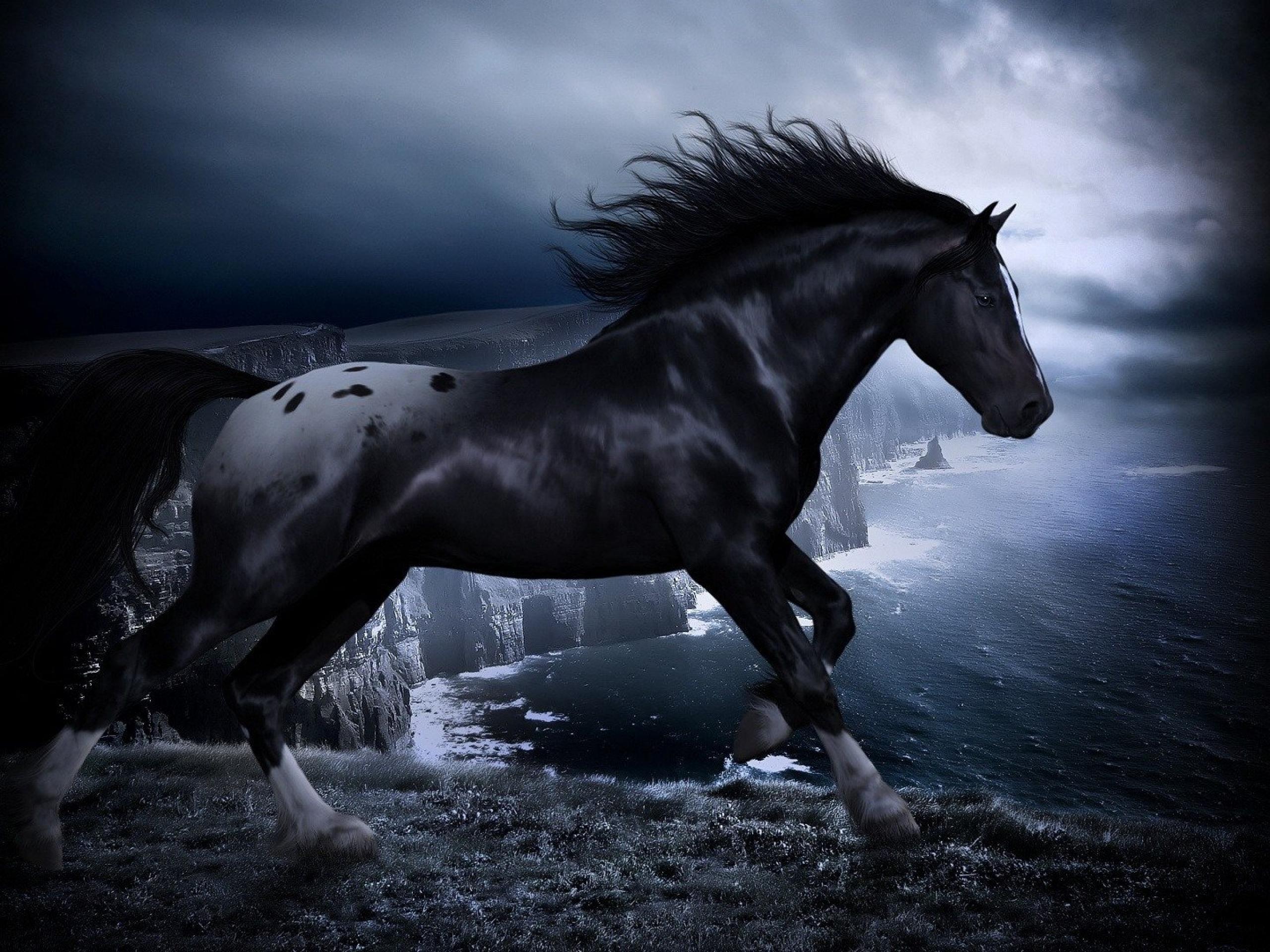 Black Horses Wallpaper Hd - HD Wallpaper 