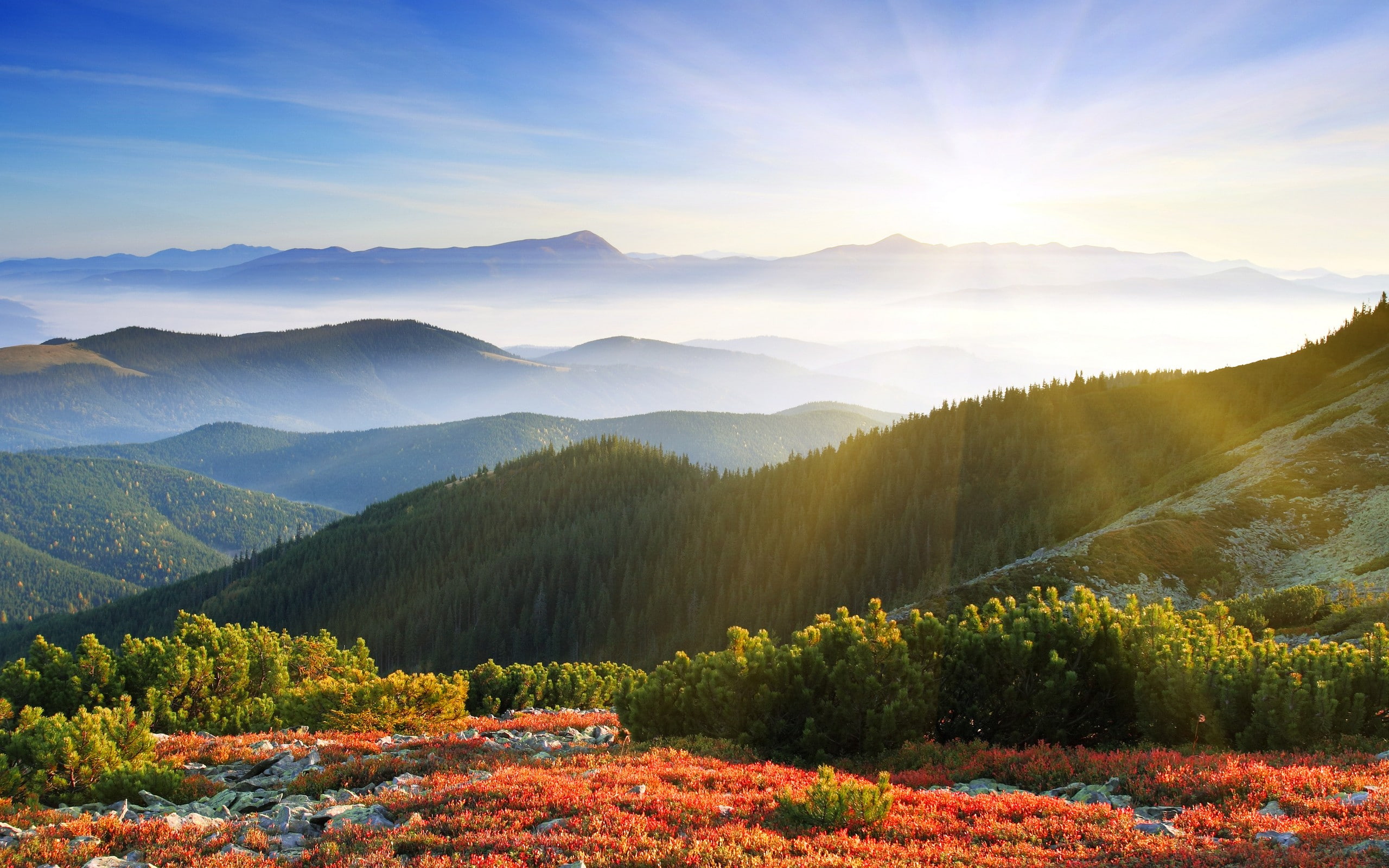 Sunrise Forest Mountains - HD Wallpaper 