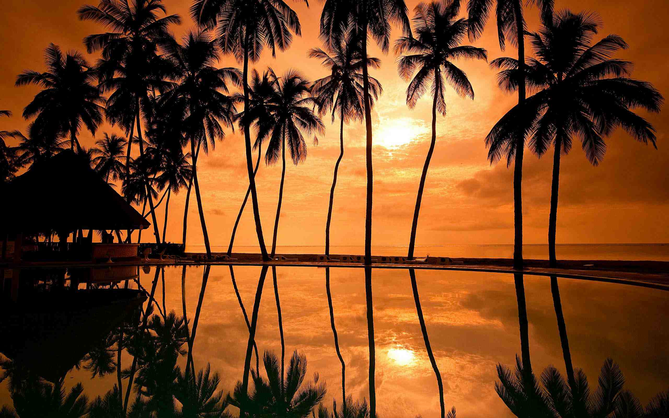 Photo Wallpaper The Sky, The Sun, Sunset, Palm Trees, - Kerala Gods Own Country - HD Wallpaper 