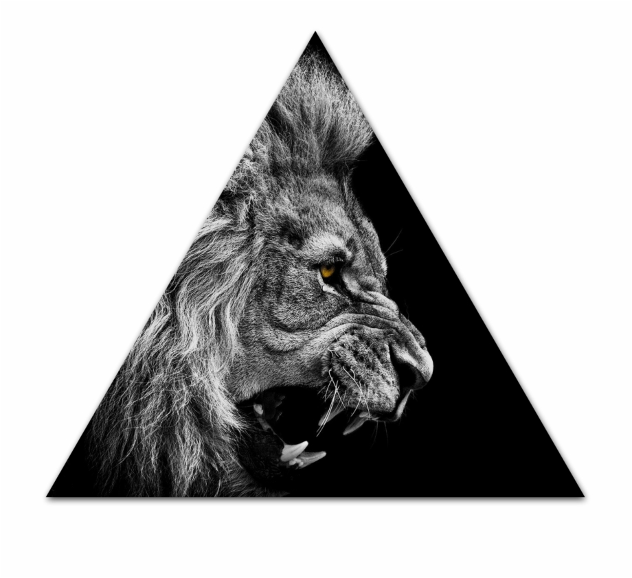My Image 10