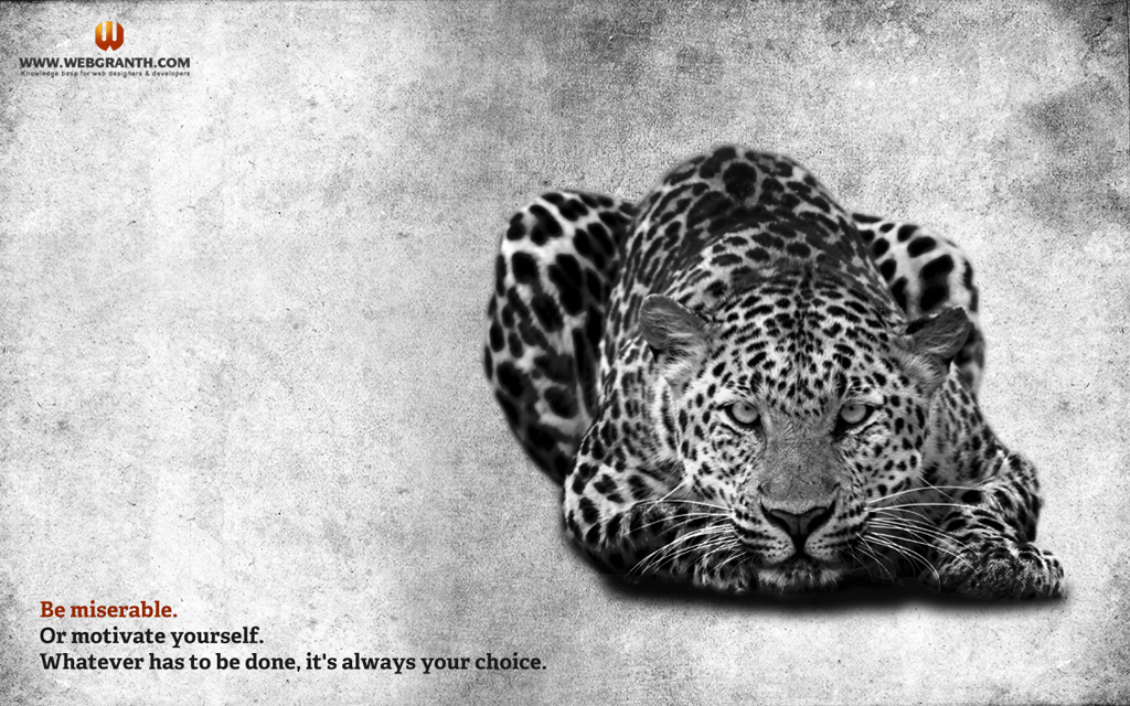 Half Jaguar Half Human - HD Wallpaper 