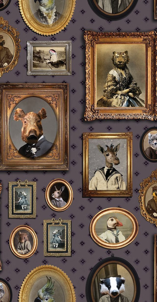 Graduate Collection Portrait Gallery - HD Wallpaper 