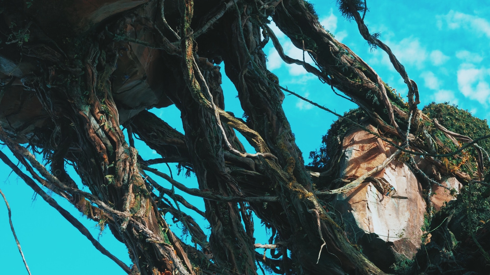 Illustration - HD Wallpaper 