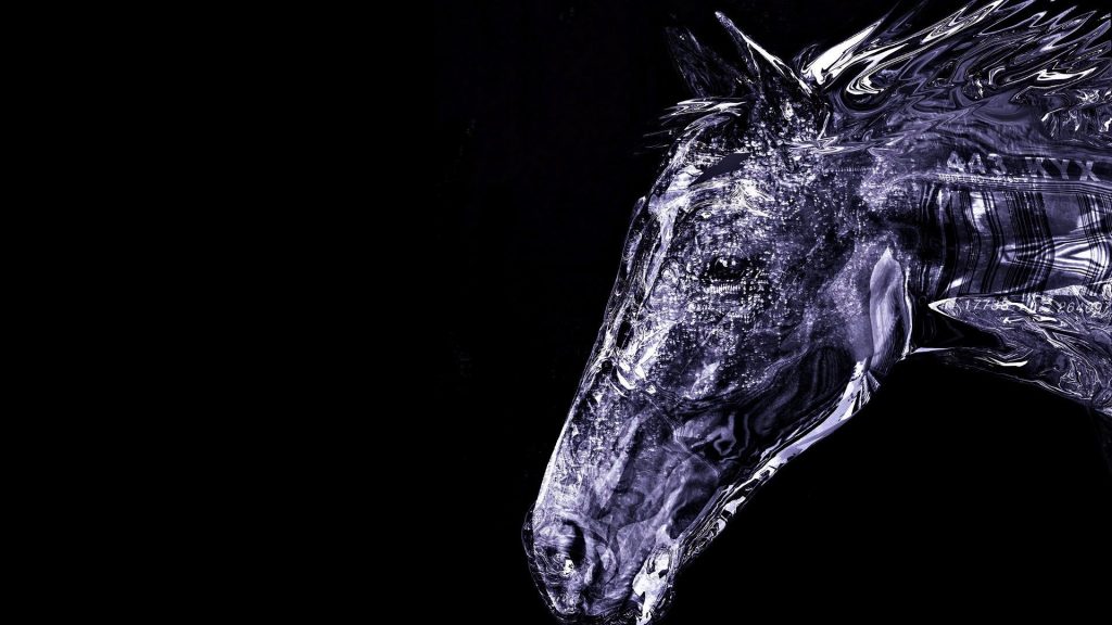 Wallpaper - HD Wallpaper 