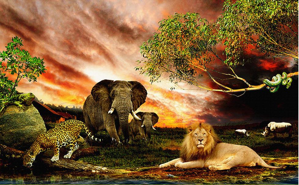 Nature Background With Lion - HD Wallpaper 