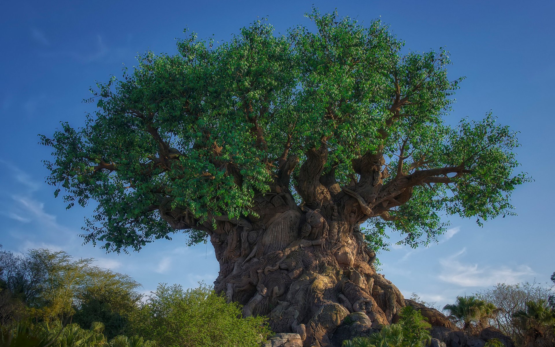 Disney World, The Tree Of Life - HD Wallpaper 
