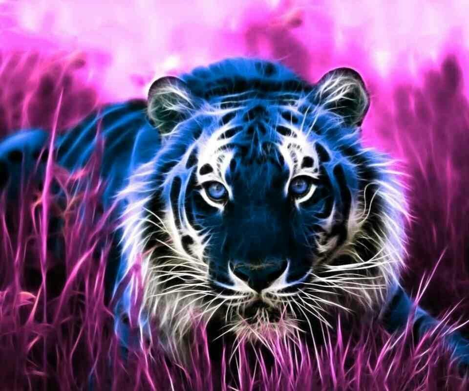 Beautiful Wallpaper Hd Tiger - HD Wallpaper 