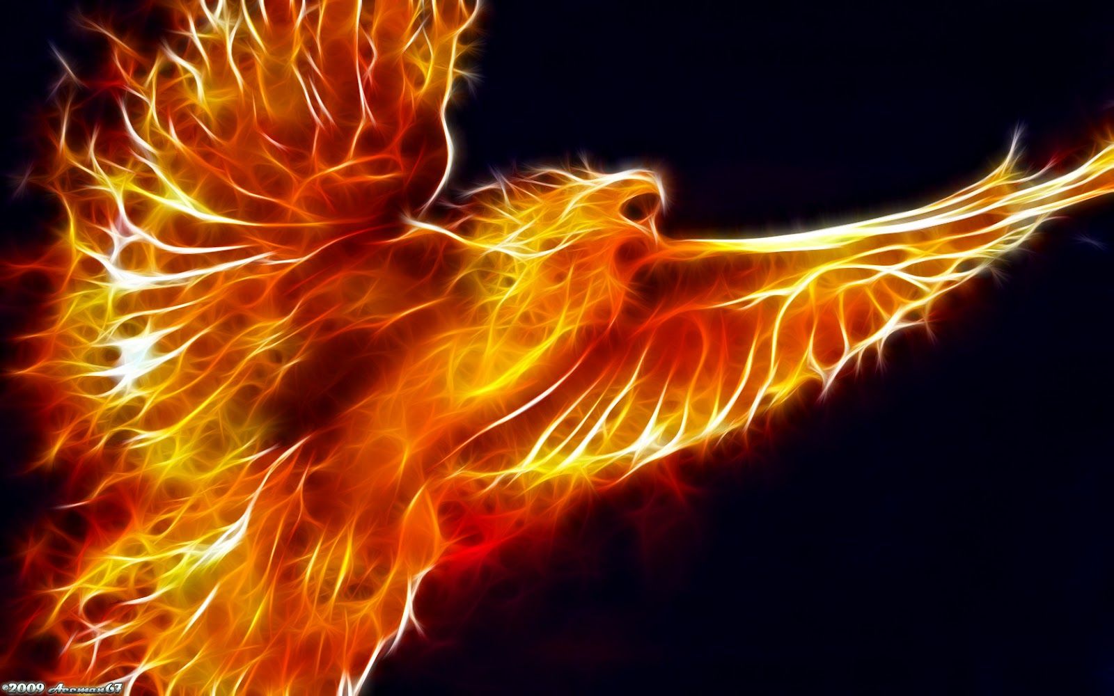 Moving Animal Wallpapers Group - 3d Animated Mobile Wallpapers Free Download - 1600x1000 Wallpaper Moving Animal Wallpapers Group - 3d Animated Mobile Wallpapers Free Download - 1600x1000 Wallpaper